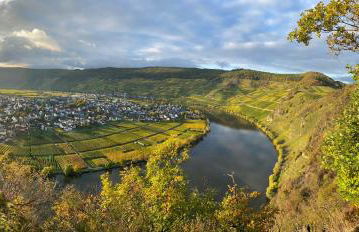 Ferienwohnung Moselblümchen Amelie - Foto 12