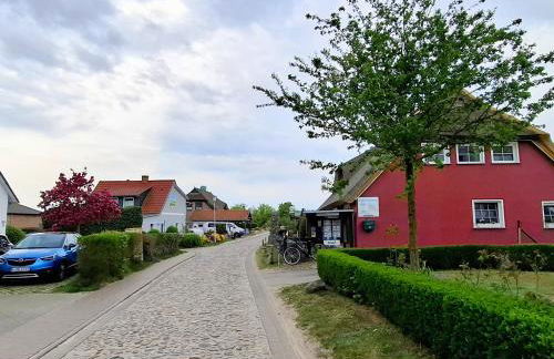 CBlue "Zickerstuuv", Wasserblick, in der Natur, Grill - Foto 23