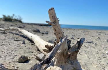 Studio pour deux avec terrasse aux portes de la Camargue - Foto 41