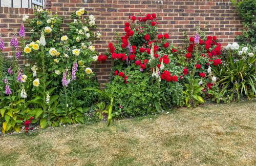 Green Trees - Foto 23