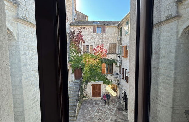 Vita Mundo - Foto 42