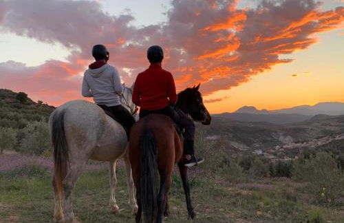 Apartamentos La Granja - Foto 53