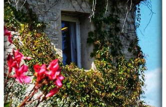 La Providence - Photo 31