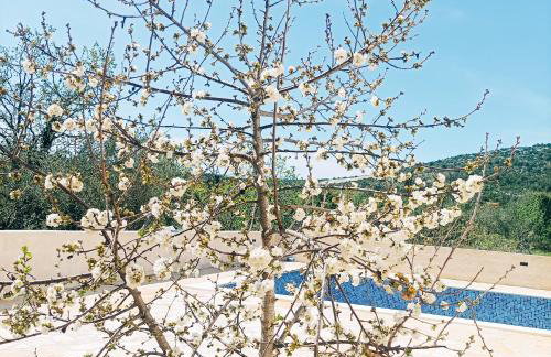 Green paradise - Photo 46