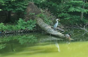 Floss Priepert 1 - Foto 25