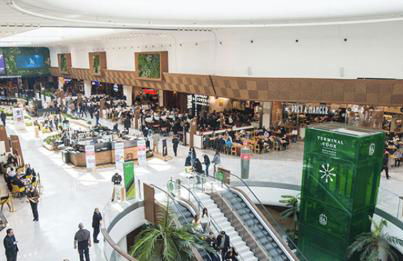 House with terrace près de l'Aéroport RoissyCDG - Tour Eiffel - Champs Elysée - Paris - Aéroville centre commercial - Parc Astérix - Disneyland Paris - Mer de sable - Châteaux de Chantilly et Ecouen - Parc des expositions Villepinte - Le Bourget - Foto 25