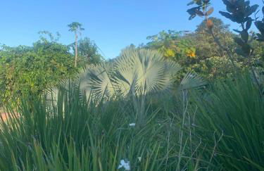 Casa Savana - Foto 55