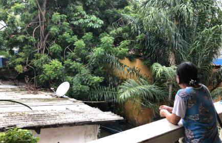 Bela Vista - Photo 52