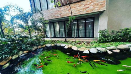 Apartamento, Centro SP - Piscina e Ar Condicionado - Foto 5, Garden