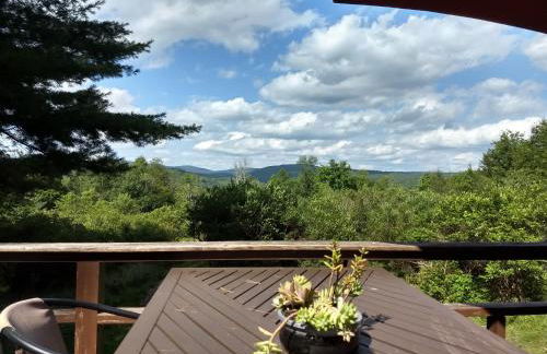 Catskills tiny house cabin - Foto 10