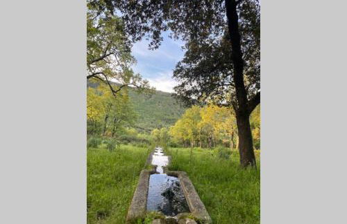 El Refugio de San Pablo de los Montes - Foto 38