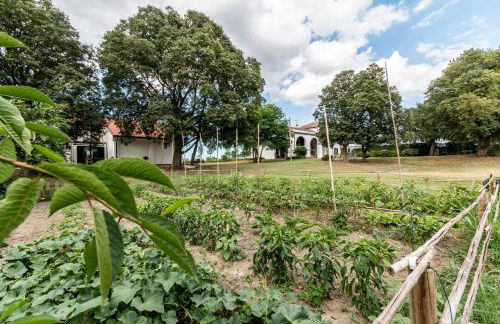 all'ombra del Bagolaro - Photo 17