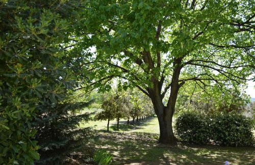 Résidence hôtelière et SPA des sources du gros noyer - Photo 9