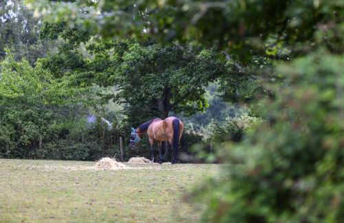 Bramble Hut - Foto 32