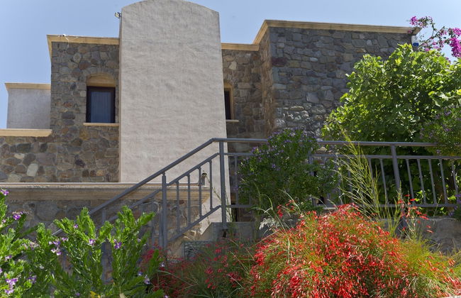 Palmiye Tepesi - Foto 74