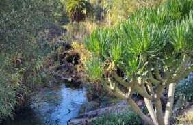 Casa Rural LOS PINARES El Juncal de TEJEDA - Foto 17