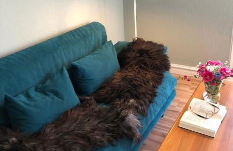 Ferienwohnung Elbsegler - Foto 17