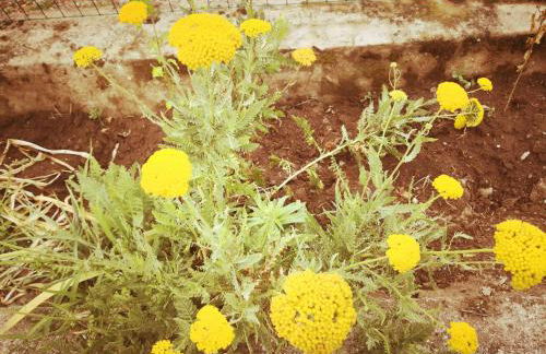 C'era una volta appartamento Queen - Foto 47