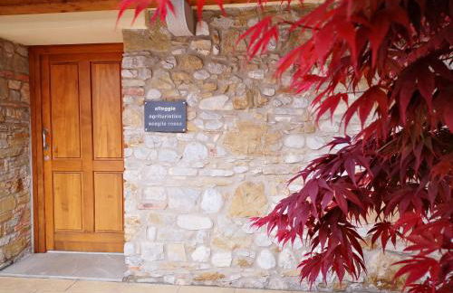 Pizzulin - Wine & Living - Foto 22