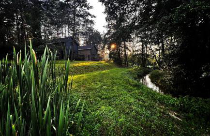 Dom i Domki nad Tanwią Roztocze - Foto 3