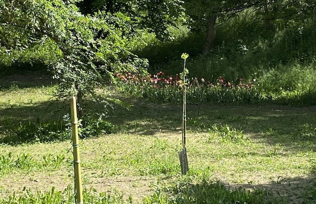 Appartamento Roero Cottage 3 - Photo 10