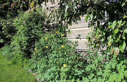 Riverfront Cabin Rental for Four near Crater Lake National Forest, Oregon - Foto 33