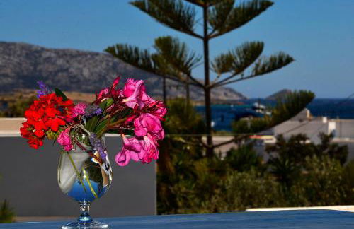 Kapetan Sorokos Studios 2 - Foto 1