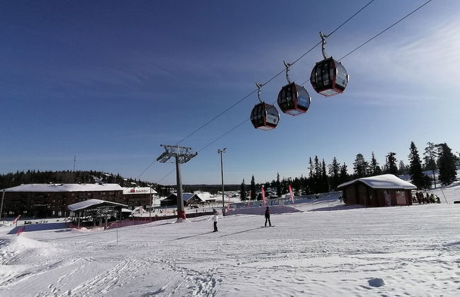 Vuosselin Helmi - Foto 53