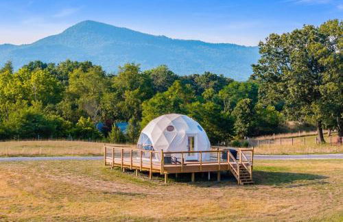 Faraway Geodome with Views - Photo 59