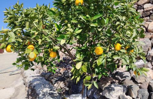 Home2Book Fantasy Villa & Nature, Private Pool - Foto 50