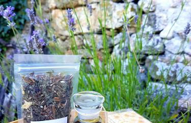 Abrigo Montesinho - Foto 7