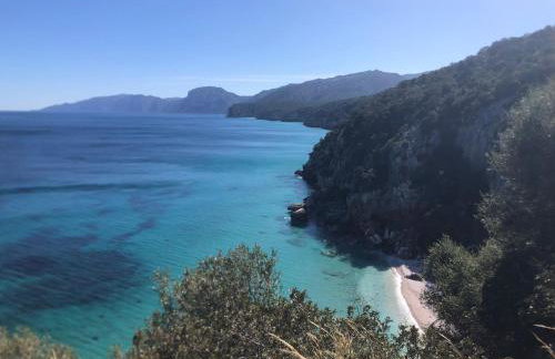 The Butterfly house - Foto 25