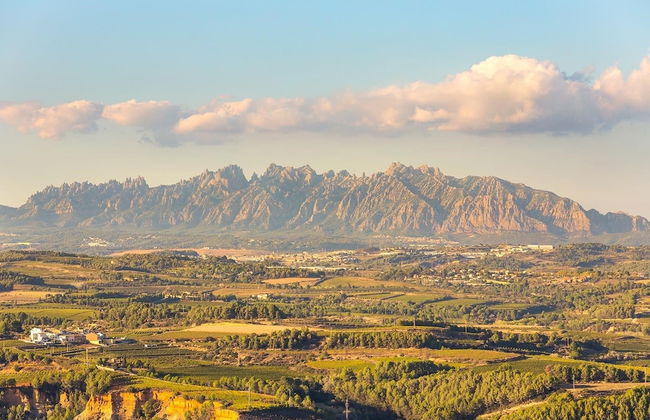 Masia Can Canyes & Spa - Foto 151