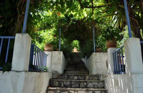 Villa Krassi - Foto 37