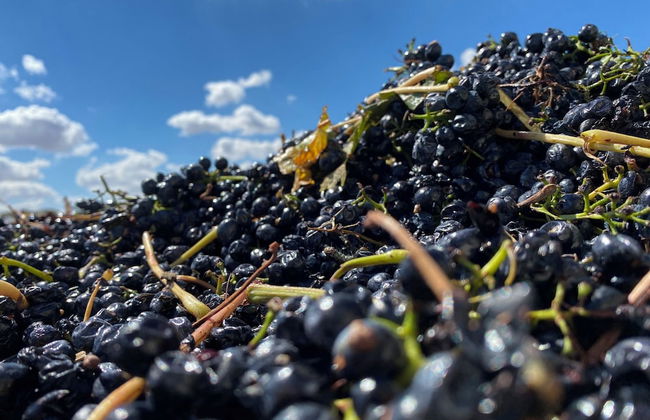 The Red Door at Barossa Valley - Foto 25
