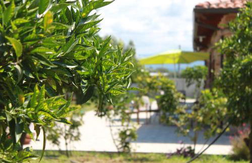 Agriturismo Le terre di zoe' - Foto 107