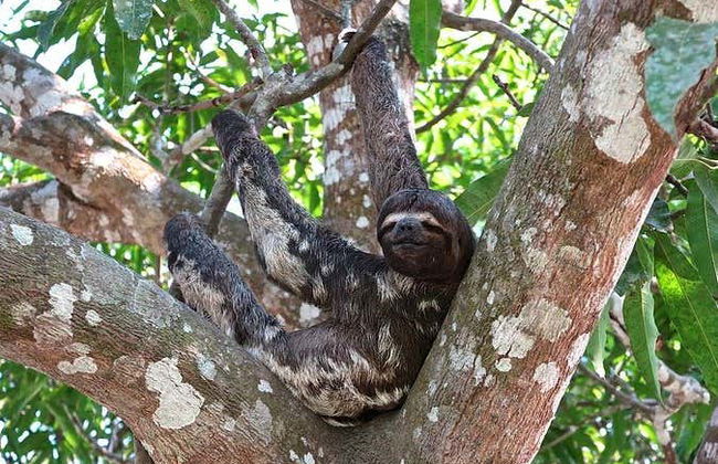 Excursion au lagon de Yarinacocha - Photo 4