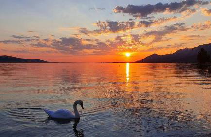 Matek family & studio apartment Rovanjska - Foto 36