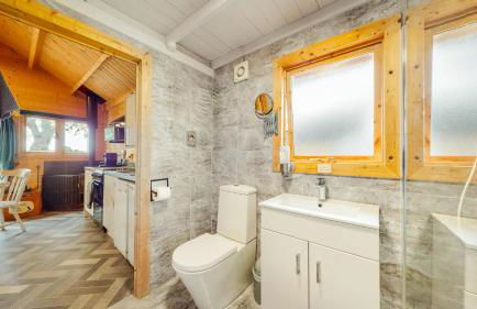 Seiriol at Llanfair Hall - Foto 20