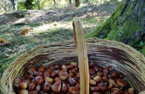 La Sala Vecchia - Lovely Tuscan Holiday house Badia Prataglia, Casentino Valley - Foto 10