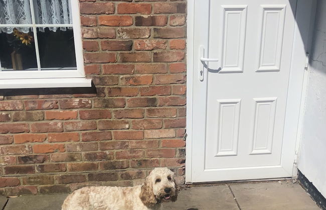 Holly Cottage - Photo 13