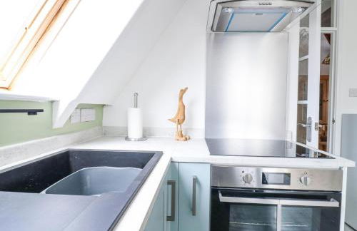 Kingfisher - Photo 11