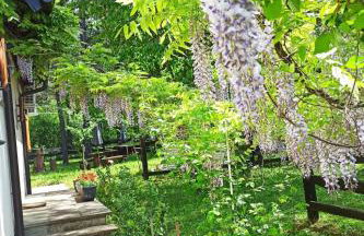 Apartment Übernachtung für einen unvergesslichen Besuch der Plitvicer Seen by Interhome - Foto 12