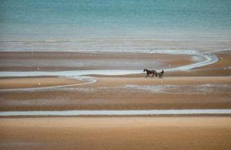 Beau studio avec accès plage, jardin, piscine, tennis, vélos, Netflix - Photo 23
