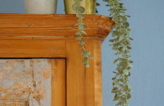 Ferienwohnung Grüne Auszeit mit Kaminofen und Terrasse - Foto 10