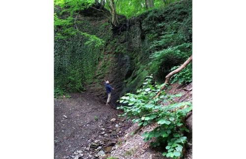 Emerald - Holiday Home for - Foto 58