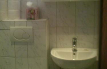 Haus Alpenblick inkl. Chiemgaukarte - Foto 18