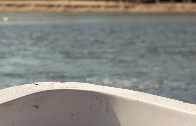 Excursion to Tres Palos Lagoon & Crocodile Reserve - Foto 1