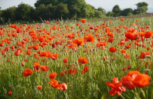Apartment above Samantha Dadd Art Studio - in the Cotswolds - Foto 28