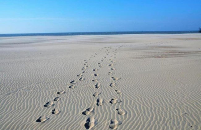 Apartment in Nieuwpoort With Terrace - Foto 21